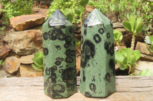 Polished Stromatolite Jasper Points x 2 From Katsepy, Madagascar