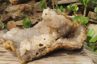 Natural Zululand Agate Geode Specimen x 1 from Jozini, South Africa