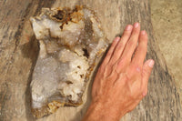 Natural Zululand Agate Geode Specimen x 1 from Jozini, South Africa