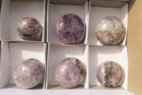 Polished Chevron Amethyst Palm Stones x 6 From Madagascar