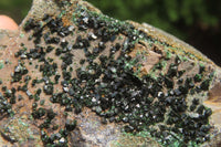 Natural Libethenite Crystals On Dolomite Matrix Specimens x 3 From Shituru, Congo