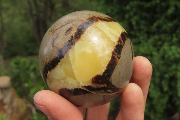 Polished Septerye Spheres x 4 From Mahajanga, Madagascar