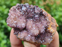 Natural Amethystos Amethyst Plates x 35 From Kwaggafontein, South Africa