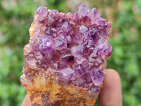 Natural Amethystos Amethyst Plates x 35 From Kwaggafontein, South Africa