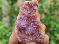 Natural Amethystos Amethyst Plates x 35 From Kwaggafontein, South Africa