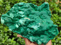 Natural Botryoidal Malachite Specimens x 1 From Kolwezi, Congo