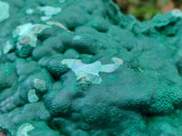 Natural Botryoidal Malachite Specimens x 1 From Kolwezi, Congo