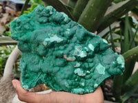 Natural Botryoidal Malachite Specimens x 1 From Kolwezi, Congo