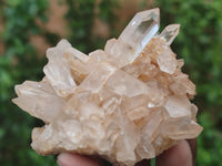 Natural Quartz Clusters x 24 from Madagascar