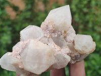 Natural Quartz Clusters x 24 from Madagascar