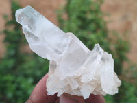 Natural Quartz Clusters x 24 from Madagascar