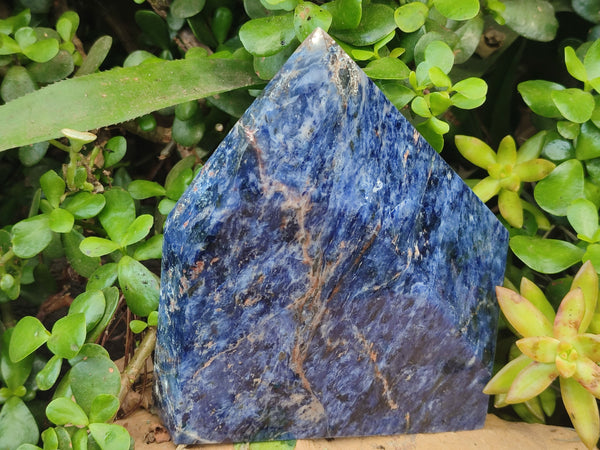 Polished Sodalite Point-Prism x 1 From Namibia