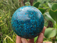 Polished Chrysocolla Conglomerate Spheres on a Wood Stand x 1 From Congo