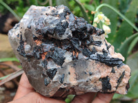 Natural Schorl Black Tourmaline in Rough Quartz Specimens x 3 from Zimbabwe