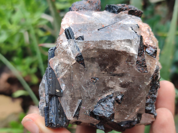 Natural Schorl Black Tourmaline in Rough Quartz Specimens x 3 from Zimbabwe