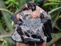 Natural Schorl Black Tourmaline in Rough Quartz Specimens x 3 from Zimbabwe