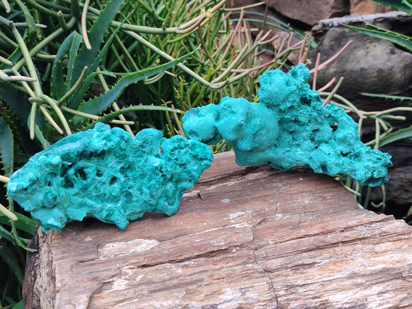 Natural Silky Malachite Specimens x 2 From Kasompe, Congo