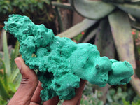 Natural Silky Malachite Specimens x 2 From Kasompe, Congo