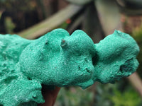 Natural Silky Malachite Specimens x 2 From Kasompe, Congo