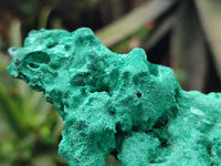 Natural Silky Malachite Specimens x 2 From Kasompe, Congo