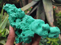 Natural Silky Malachite Specimens x 2 From Kasompe, Congo