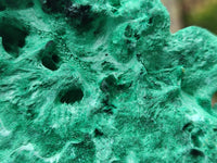 Natural Silky Malachite Specimens x 2 From Kasompe, Congo