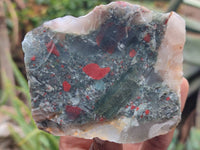 Natural Bloodstone Cobbed Specimens x 12 From Swaziland