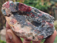 Natural Bloodstone Cobbed Specimens x 12 From Swaziland