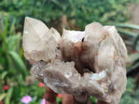 Natural Smokey Phantom Quartz Clusters x 3 From Luena, Congo