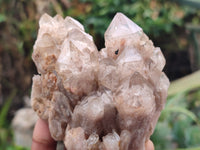 Natural Smokey Phantom Quartz Clusters x 3 From Luena, Congo