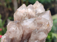 Natural Smokey Phantom Quartz Clusters x 3 From Luena, Congo