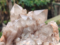 Natural Smokey Phantom Quartz Clusters x 3 From Luena, Congo