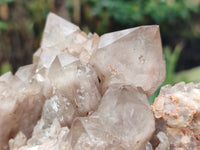 Natural Smokey Phantom Quartz Clusters x 3 From Luena, Congo