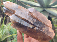 Natural Smokey Quartz Crystals x 2 from Zomba, Malawi