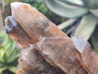 Natural Smokey Quartz Crystals x 2 from Zomba, Malawi