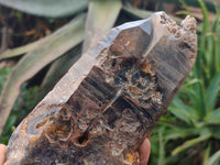 Natural Smokey Quartz Crystals x 2 from Zomba, Malawi