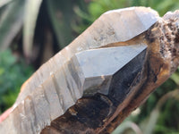 Natural Smokey Quartz Crystals x 2 from Zomba, Malawi