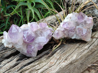 Natural Jacaranda Amethyst Quartz Cluster x 2 from Mumbwa, Zambia