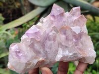 Natural Jacaranda Amethyst Quartz Cluster x 2 from Mumbwa, Zambia