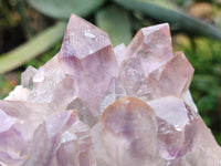 Natural Jacaranda Amethyst Quartz Cluster x 2 from Mumbwa, Zambia