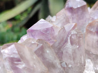 Natural Jacaranda Amethyst Quartz Cluster x 2 from Mumbwa, Zambia