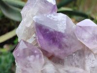 Natural Jacaranda Amethyst Quartz Cluster x 2 from Mumbwa, Zambia