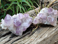 Natural Jacaranda Amethyst Quartz Cluster x 2 from Mumbwa, Zambia