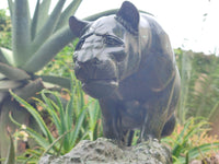 Hand Made Green Verdite Lioness Carving x 1 From Zimbabwe