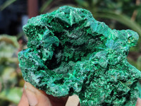 Natural Silky Malachite Specimens x 5 From Kasompe, Congo