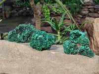 Natural Silky Malachite Specimens x 5 From Kasompe, Congo