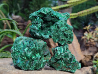 Natural Silky Malachite Specimens x 5 From Kasompe, Congo