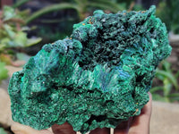 Natural Silky Malachite Specimens x 5 From Kasompe, Congo