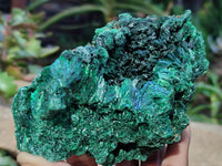 Natural Silky Malachite Specimens x 5 From Kasompe, Congo