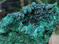 Natural Silky Malachite Specimens x 5 From Kasompe, Congo